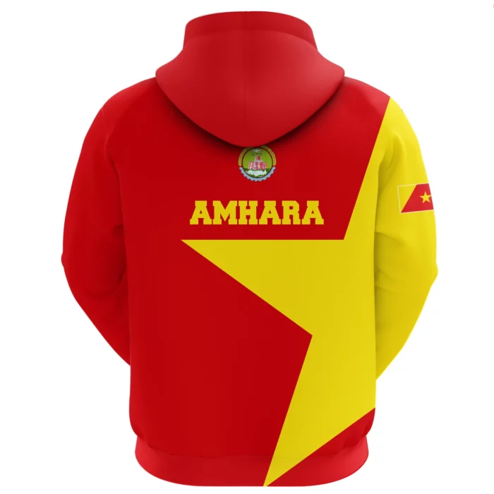African Hoodie – Amhara Flag Men Lion Hoodie